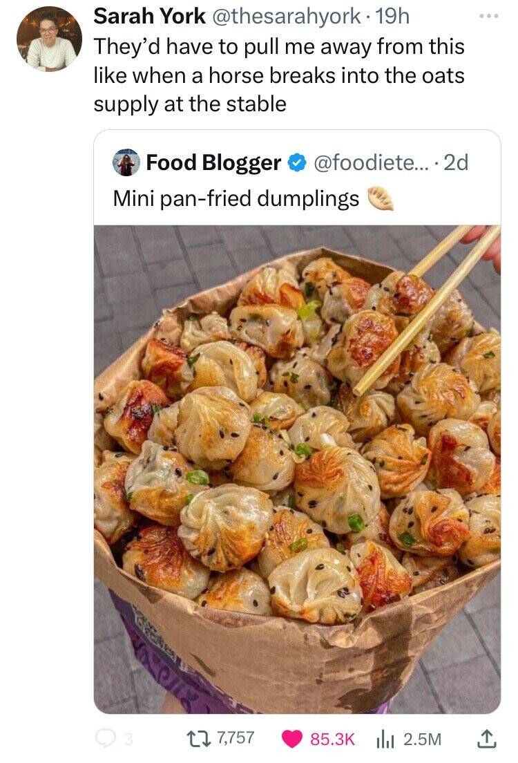 Sarah York @thesarahyork. 19h ... They'd have to pull me away from this like when a horse breaks into the oats supply at the stable @foodiete... ...2d Food Blogger Mini pan-fried dumplings 3 7,757 85.3K 2.5M