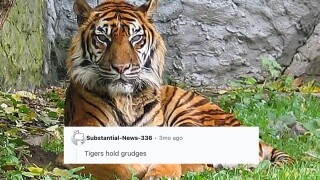 19 Science Facts From The Wrong Side Of The Tracks