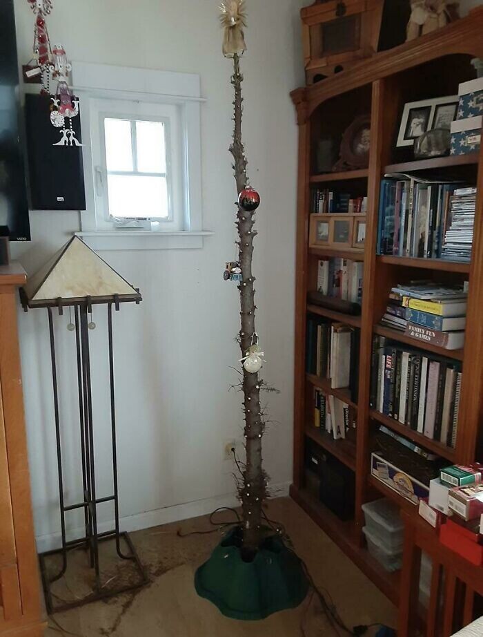 20 Photos from if the Grinch Stole Christmas