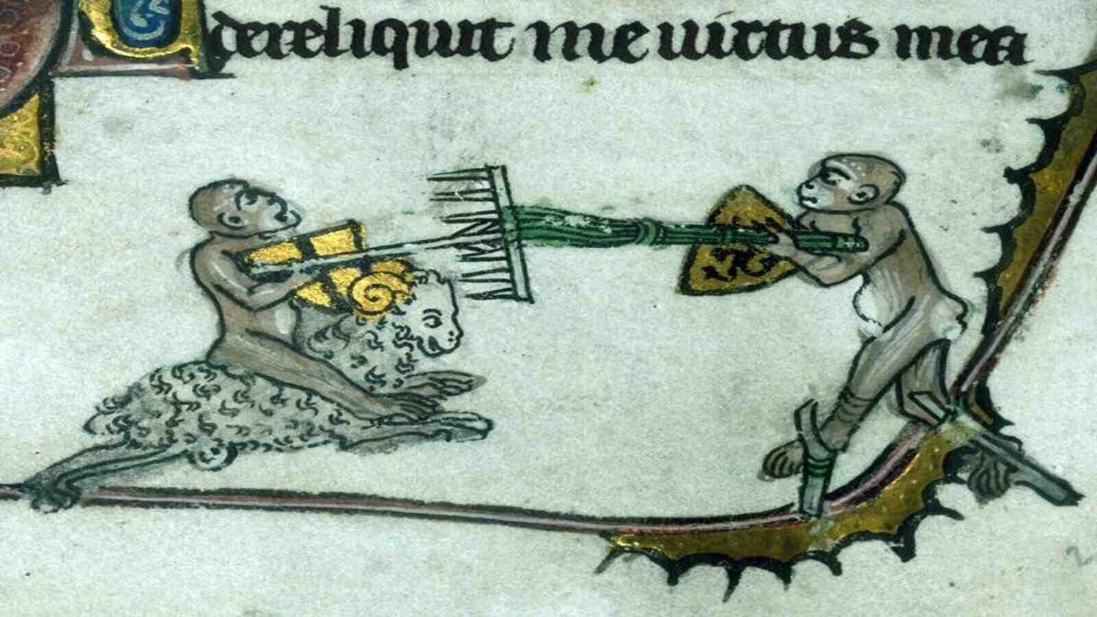 cereliquit meuirus mea