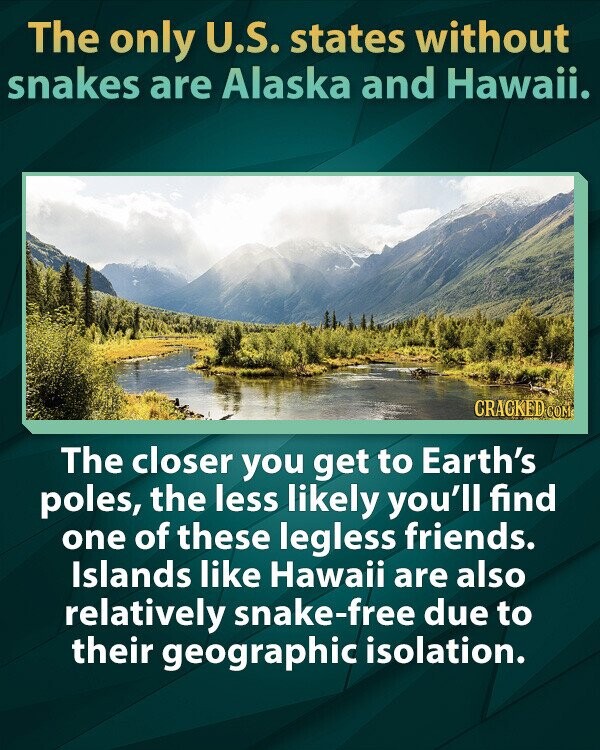 The only U.S. states without snakes are Alaska and Hawaii. CRACKED COM The closer you get to Earth's poles, the less likely you'll find one of these legless friends. Islands like Hawaii are also relatively snake-free due to their geographic isolation.