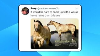 55 of the Funniest Burns from the Month of June 2025