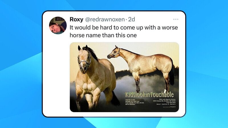 55 of the Funniest Burns from the Month of June 2025