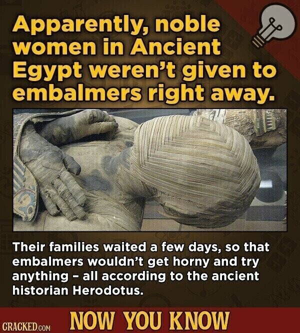 Apparently, noble women in Ancient Egypt weren't given to embalmers right away. Their families waited a few days, so that embalmers wouldn't get horny and try anything - all according to the ancient historian Herodotus. NOW YOU KNOW CRACKED.COM