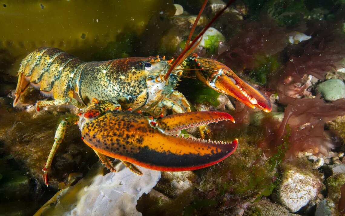 Interesting Facts We Thought You’d Like To Know