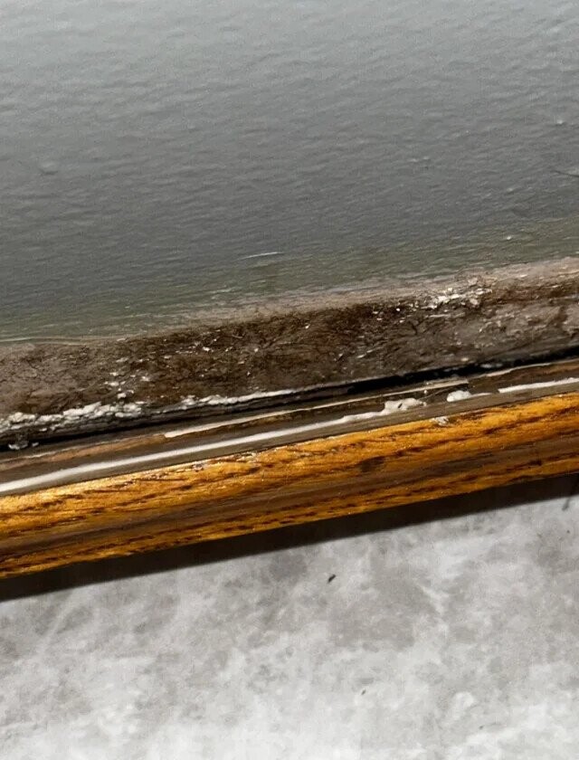 Photos Where You Might Need to Look More Than Once