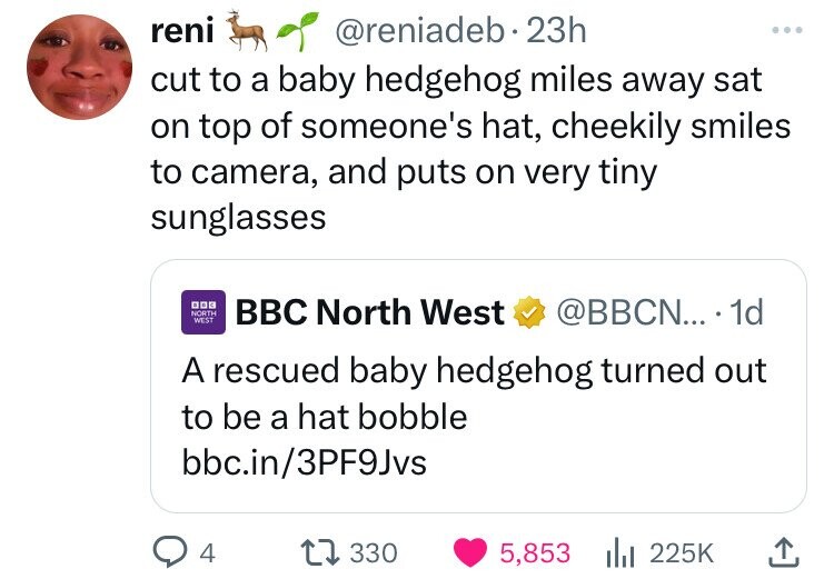 reni @reniadeb.23h ... cut to a baby hedgehog miles away sat on top of someone's hat, cheekily smiles to camera, and puts on very tiny sunglasses 000 NORTH WEST BBC North West @BBCN... . 1d A rescued baby hedgehog turned out to be a hat bobble bbc.in/3PF9Jvs 4 330 5,853 225K 
