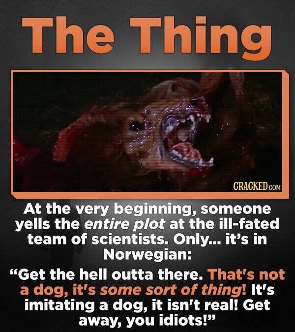 The Thing CRACKED.COM At the very beginning, someone yells the entire plot at the ill-fated team of scientists. Only... it's in Norwegian: Get the hell outta there. That's not a dog, it's some sort of thing! It's imitating a dog, it isn't real! Get away, you idiots!