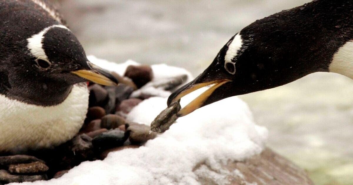 Interesting Facts We Thought You’d Like To Know