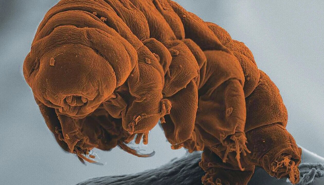 Interesting Facts We Thought You’d Like To Know