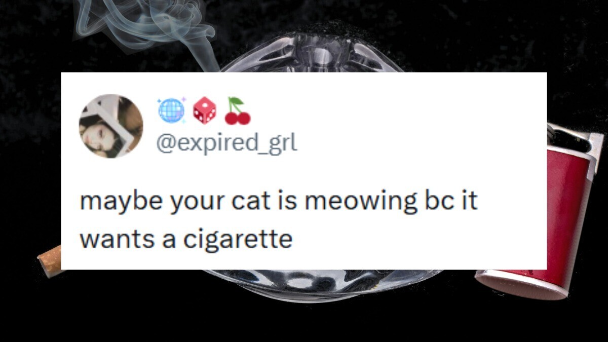 19 of the Funniest Tweets from Thursday, June 11 2026 | Cracked.com