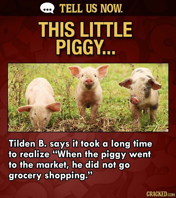 TELL US NOW. THIS LITTLE PIGGY... Tilden B. says it took a long time to realize When the piggy went to the market, he did not go grocery shopping. CRACKED.COM