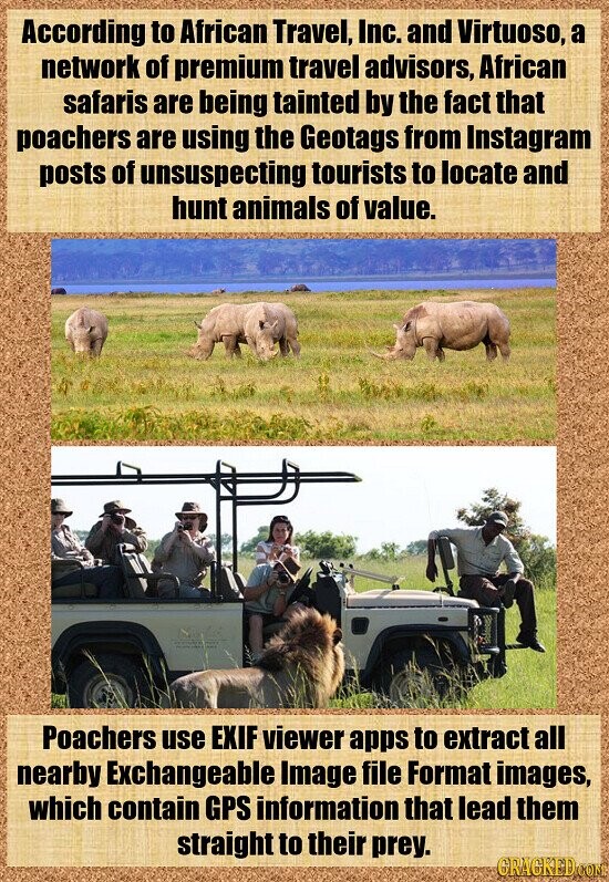 According to African Travel, Inc. and Virtuoso, a network of premium travel advisors, African safaris are being tainted by the fact that poachers are using the Geotags from Instagram posts of unsuspecting tourists to locate and hunt animals of value. Poachers use EXIF viewer apps to extract all nearby Exchangeable Image file Format images, which contain GPS information that lead them straight to their prey. GRACKED.COM