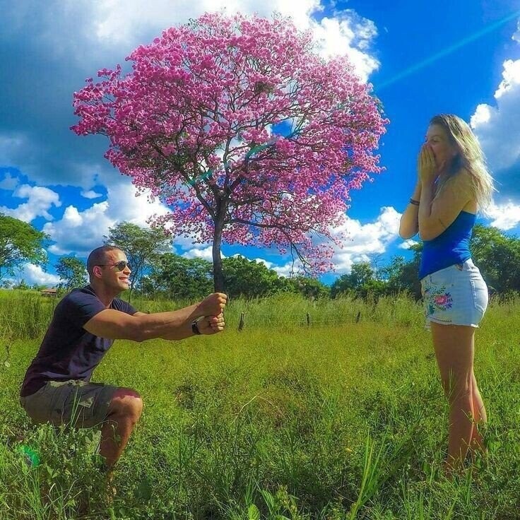 Photos Where You Might Need to Look More Than Once