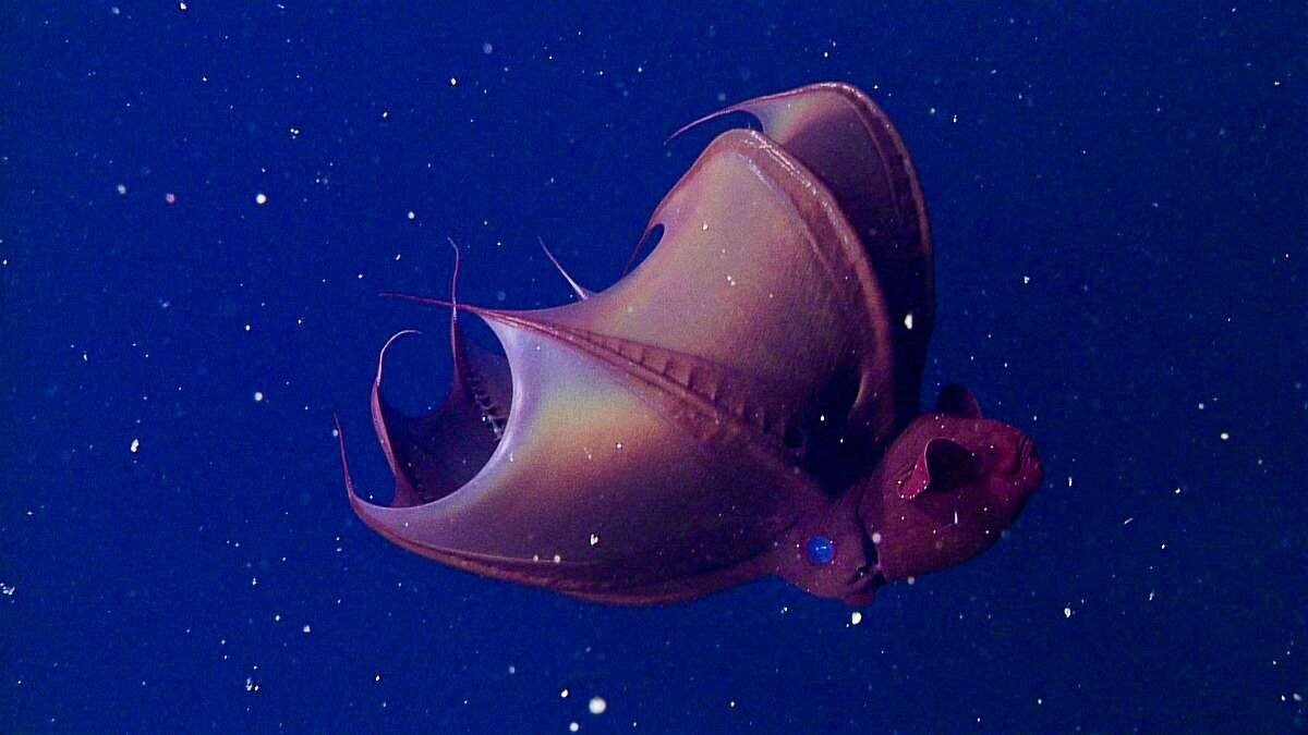 Interesting Facts We Thought You’d Like To Know