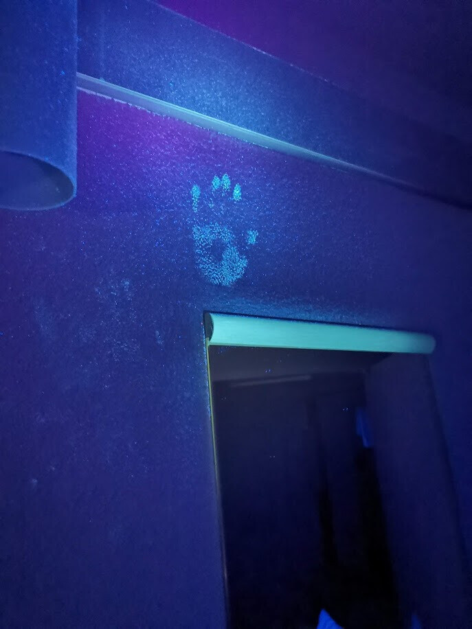 20 Trash Hotels to Keep You Sleeping in Your Car