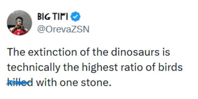 BIG TI٣I @OrevaZSN The extinction of the dinosaurs is technically the highest ratio of birds killed with one stone. 