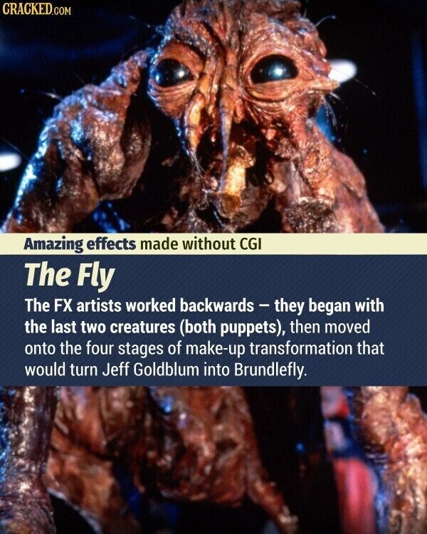 CRACKED.COM Amazing effects made without CGI The Fly The FX artists worked backwards - they began with the last two creatures (both puppets), then moved onto the four stages of make-up transformation that would turn Jeff Goldblum into Brundlefly.