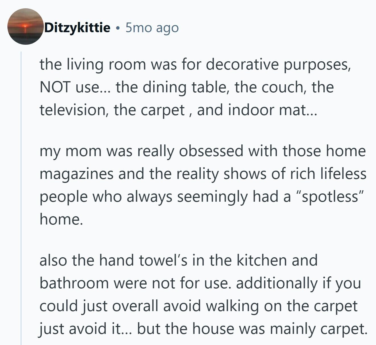Ditzykittie 5mo ago the living room was for decorative purposes, NOT use... the dining table, the couch, the television, the carpet , and indoor mat... my mom was really obsessed with those home magazines and the reality shows of rich lifeless people who always seemingly had a spotless home. also the hand towel's in the kitchen and bathroom were not for use. additionally if you could just overall avoid walking on the carpet just avoid it... but the house was mainly carpet.