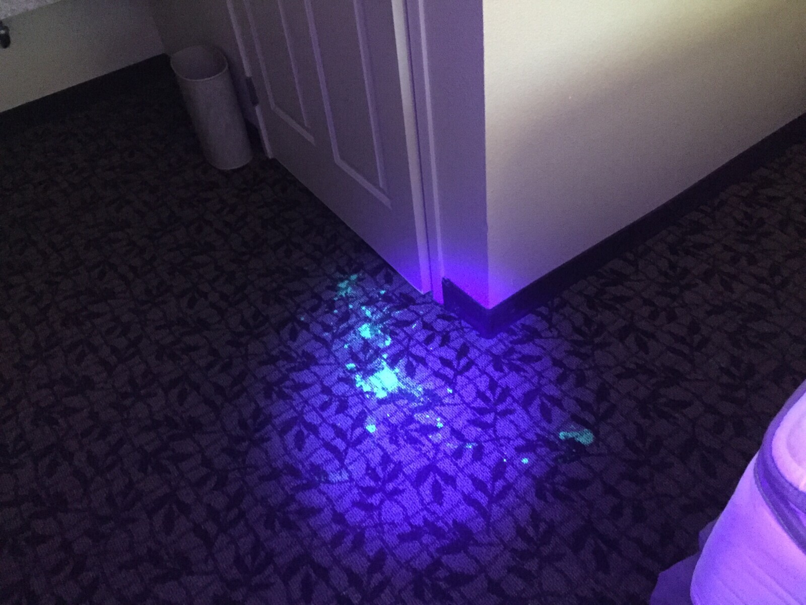 20 Trash Hotels to Keep You Sleeping in Your Car