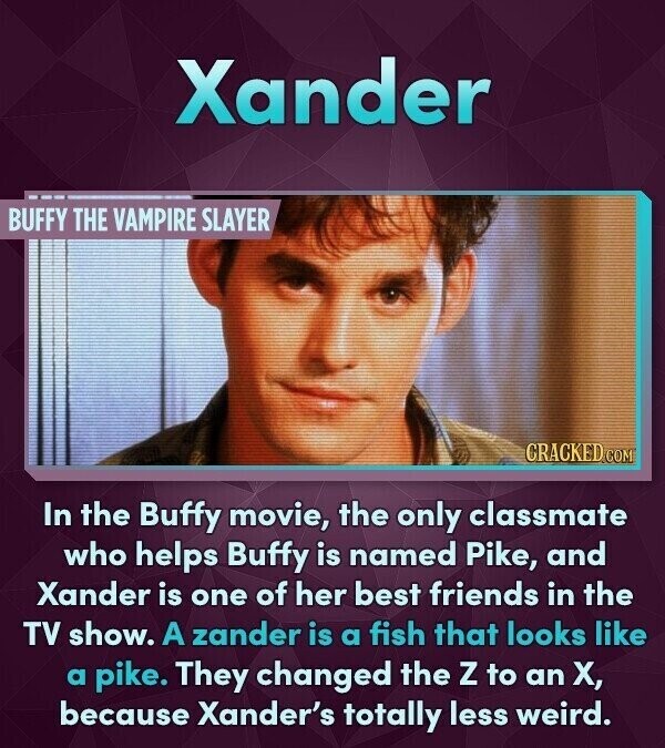 Xander BUFFY THE VAMPIRE SLAYER CRACKED.COM In the Buffy movie, the only classmate who helps Buffy is named Pike, and Xander is one of her best friends in the TV show. A zander is a fish that looks like a pike. They changed the Z to an X, because Xander's totally less weird.