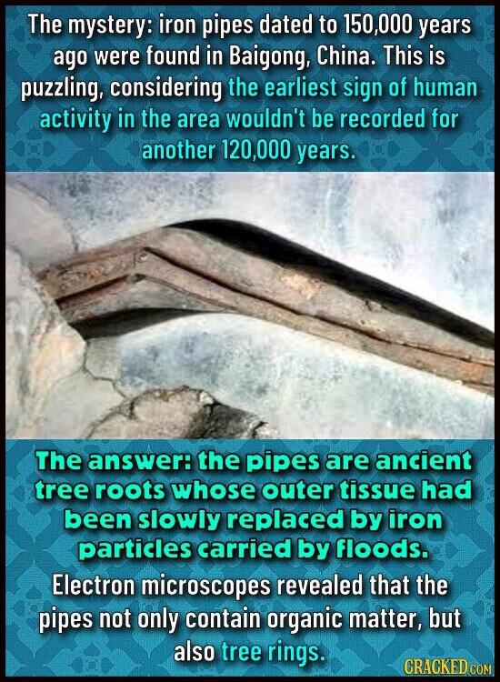 The mystery: iron pipes dated to 150,000 years ago were found in Baigong, China. This is puzzling, considering the earliest sign of human activity in the area wouldn't be recorded for another 120,000 years. The answer: the pipes are ancient tree roots whose outer tissue had been slowly replaced by iron particles carried by floods. Electron microscopes revealed that the pipes not only contain organic matter, but also tree rings. CRACKED COM