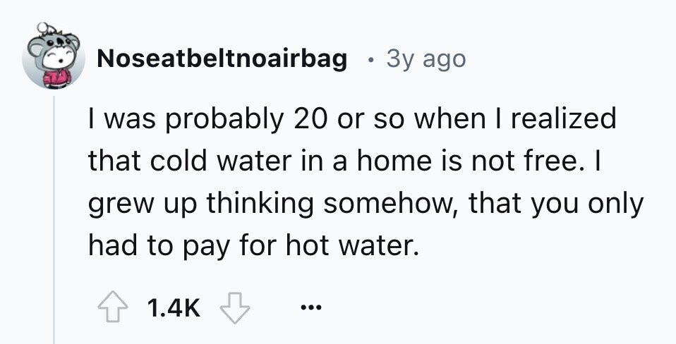 Noseatbeltnoairbag . 3y ago I was probably 20 or so when I realized that cold water in a home is not free. I grew up thinking somehow, that you only had to pay for hot water. 1.4K ...