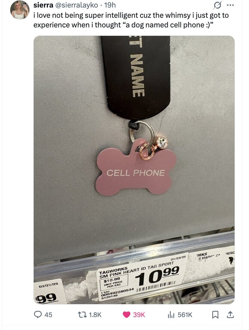 sierra @sierralayko 19h i love not being super intelligent cuz the whimsy i just got to experience when i thought a dog named cell phone :) G ... ET NAME CELL PHONE 03/27/25 TAGWORKS 01/29/25 SM PINK HEART ID TAG SPORT ORKS 'S MARVE CA MERIC $10.99 99 . UNIT PRICE PER EAC 1 EAC 1099 009492280534 51291 48 45 1.8K 39K 561K