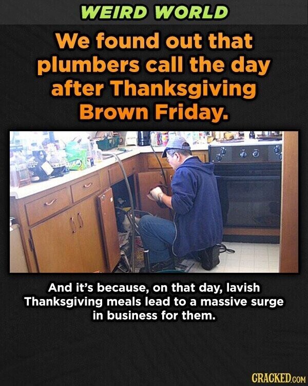 WEIRD WORLD We found out that plumbers call the day after Thanksgiving Brown Friday. And it's because, on that day, lavish Thanksgiving meals lead to a massive surge in business for them. CRACKED.COM