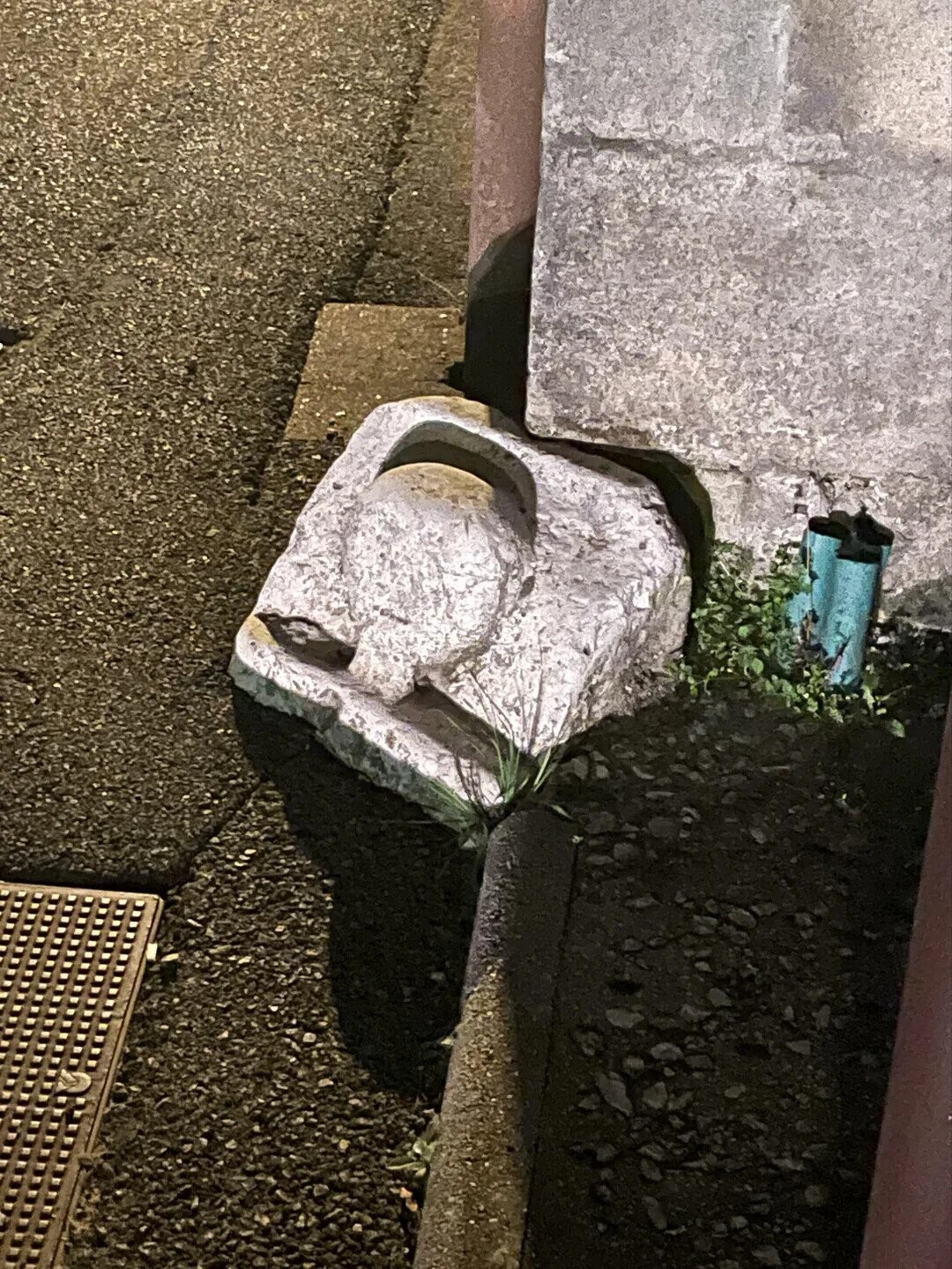 Photos Where You Might Need to Look More Than Once