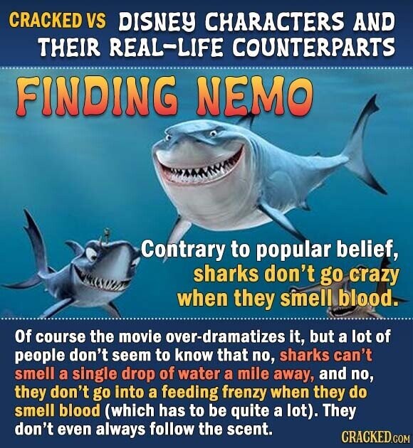 CRACKED VS DISNEY CHARACTERS AND THEIR REAL-LIFE COUNTERPARTS FINDING NEMO Contrary to popular belief, sharks don't go crazy when they smell blood. Of course the movie over-dramatizes it, but a lot of people don't seem to know that no, sharks can't smell a single drop of water a mile away, and no, they don't go into a feeding frenzy when they do smell blood (which has to be quite a lot). They don't even always follow the scent. CRACKED.COM