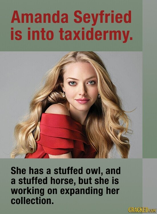 Amanda Seyfried is into taxidermy. She has a stuffed owl, and a stuffed horse, but she is working on expanding her collection. CRACKED.COM