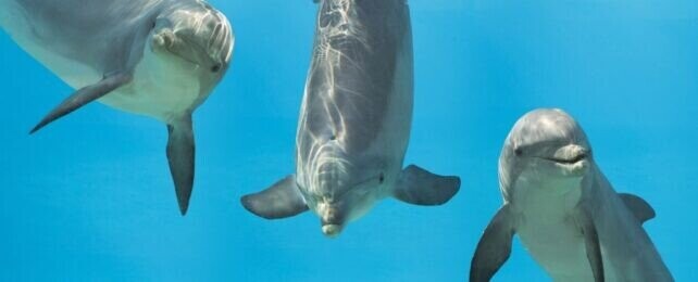 Interesting Facts We Thought You’d Like To Know