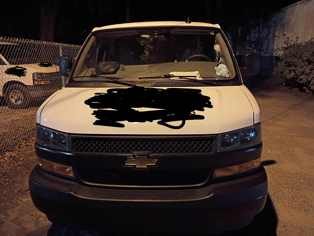 Photos Where You Might Need to Look More Than Once