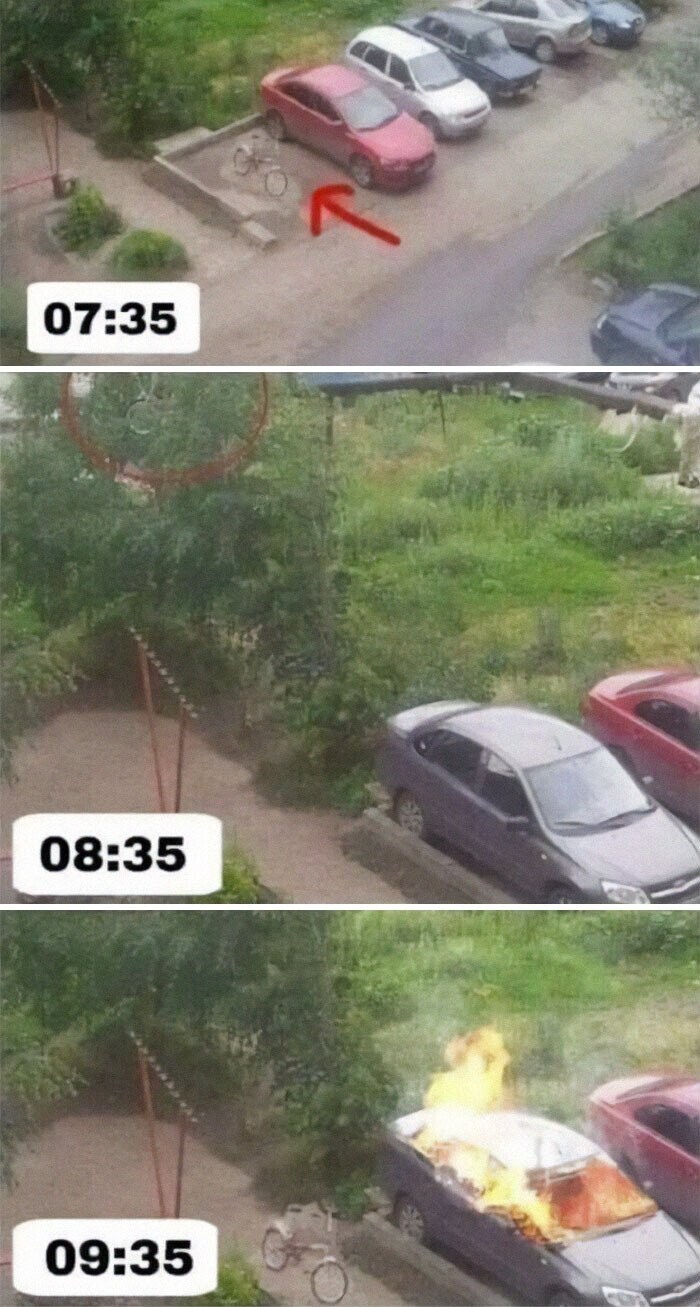 Wild Photos That Yank The Emergency Brake