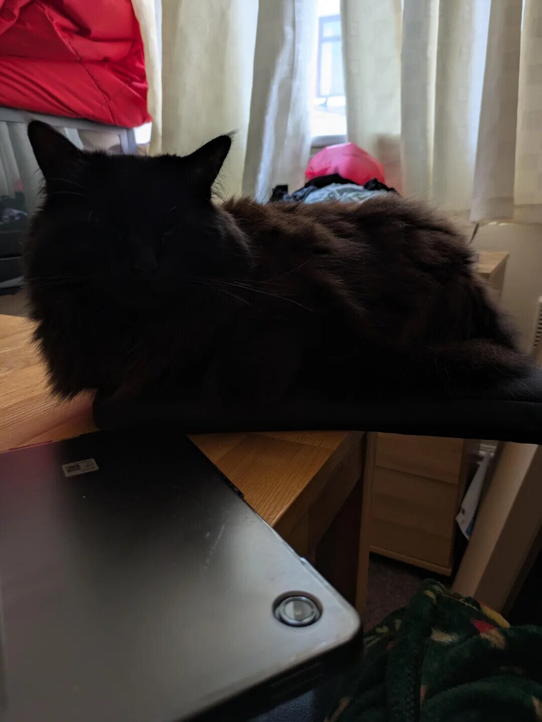 Photos Where You Might Need to Look More Than Once