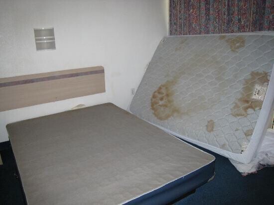 20 Trash Hotels to Keep You Sleeping in Your Car