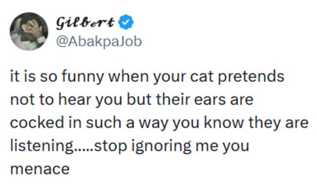 Gilbert @AbakpaJob it is so funny when your cat pretends not to hear you but their ears are cocked in such a way you know they are listening....stop ignoring me you menace 