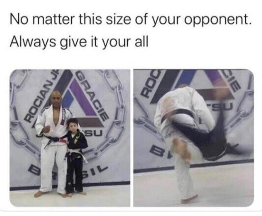 Wild Photos That Yank The Emergency Brake