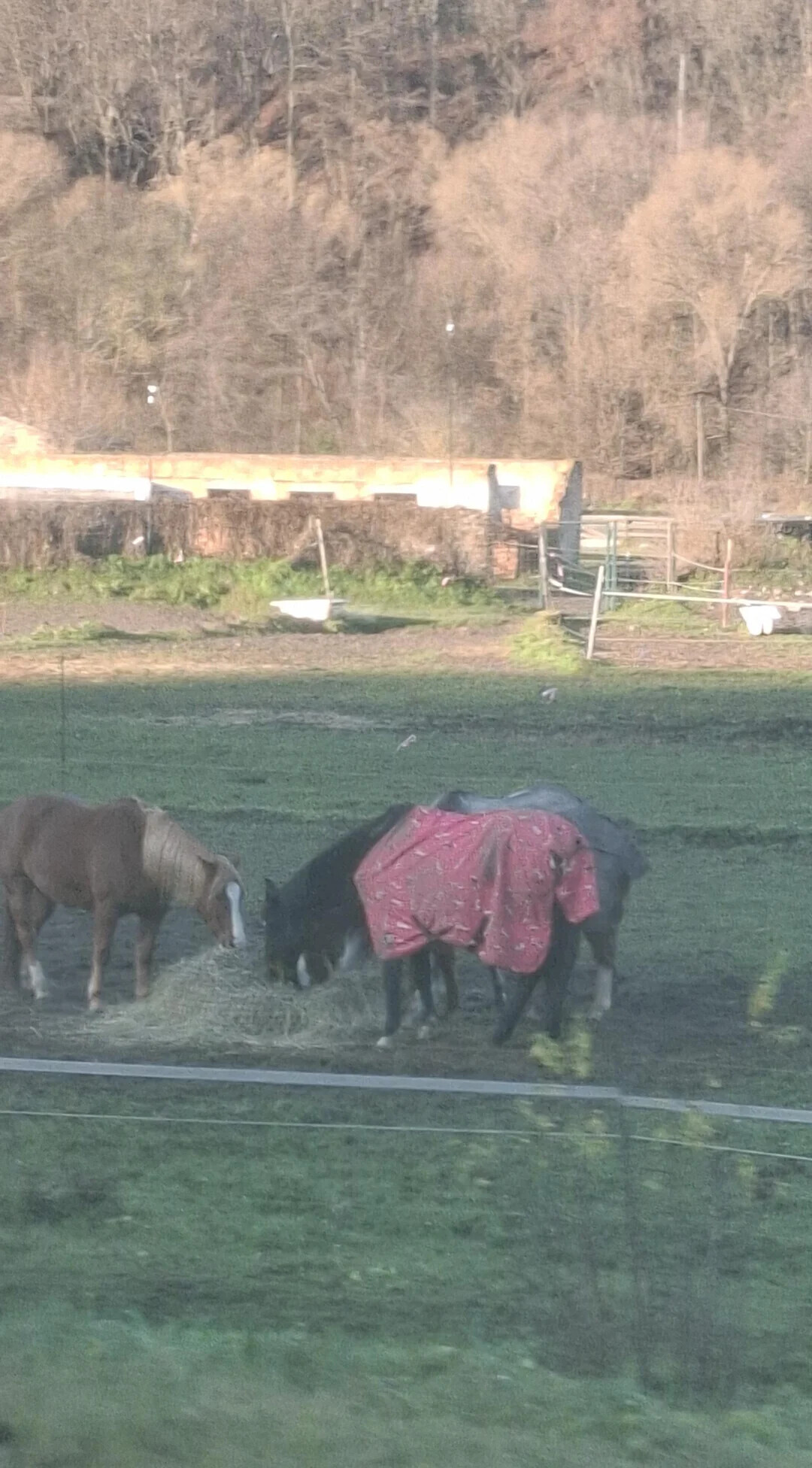 One-in-a-Million Shots That Could Never Happen Again