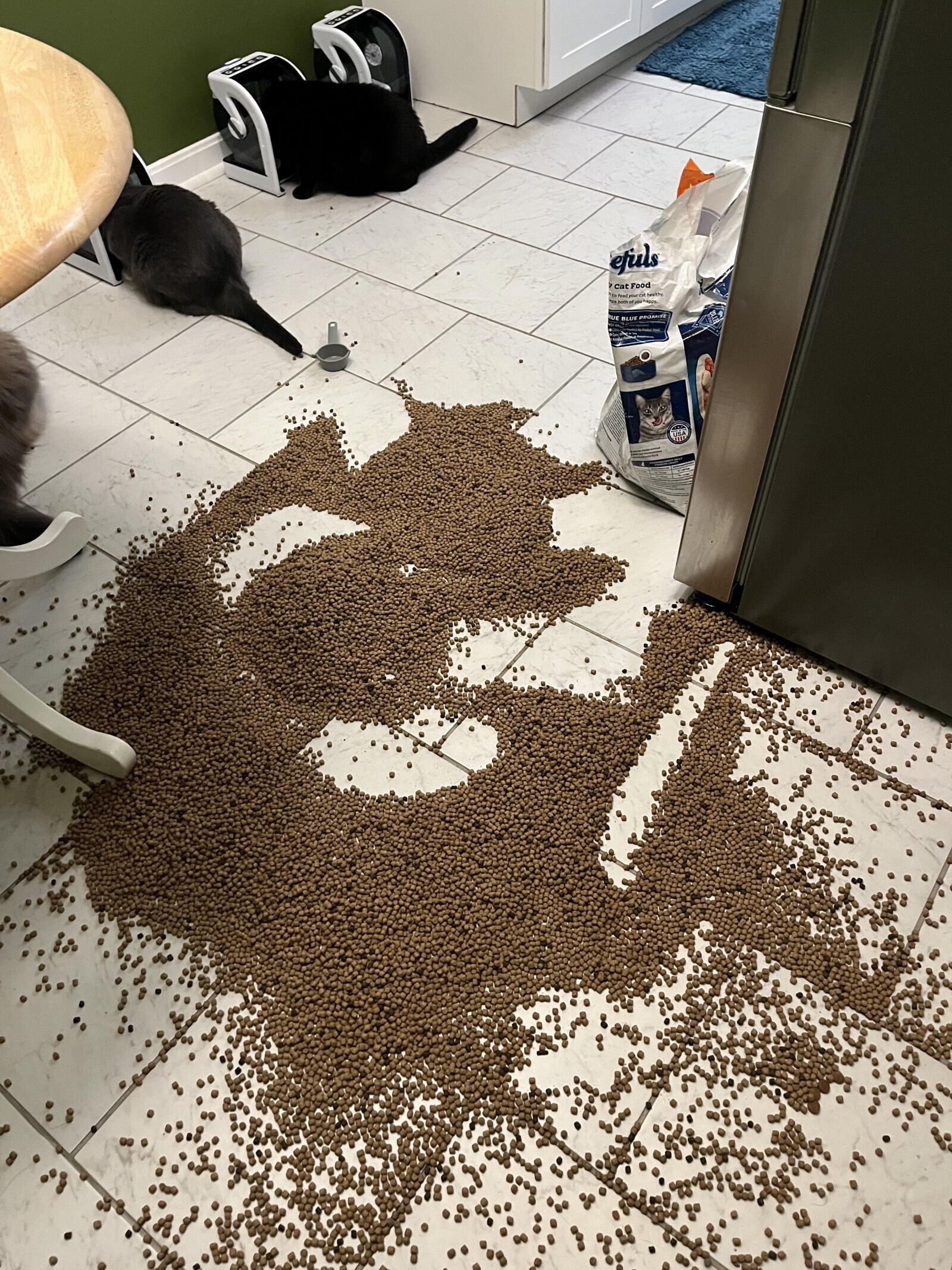 efils CatFood RUE BLUE PROMISE