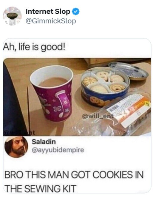 Internet Slop @GimmickSlop Ah, life is good! S @will_ent @will nt Saladin @ayyubidempire BRO THIS MAN GOT COOKIES IN THE SEWING KIT 