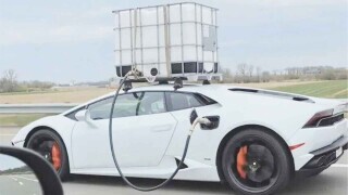 Photos Where Common Sense Turned the Other Cheek