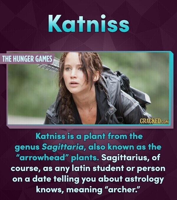 Katniss THE HUNGER GAMES CRACKED COM Katniss is a plant from the genus Sagittaria, also known as the arrowhead plants. Sagittarius, of course, as any latin student or person on a date telling you about astrology knows, meaning archer.