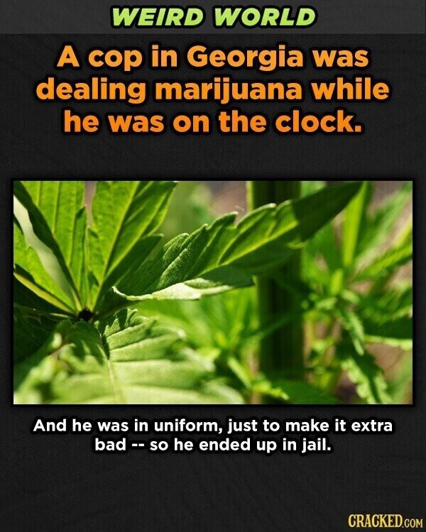 WEIRD WORLD A cop in Georgia was dealing marijuana while he was on the clock. And he was in uniform, just to make it extra bad - - SO he ended up in jail. CRACKED.COM
