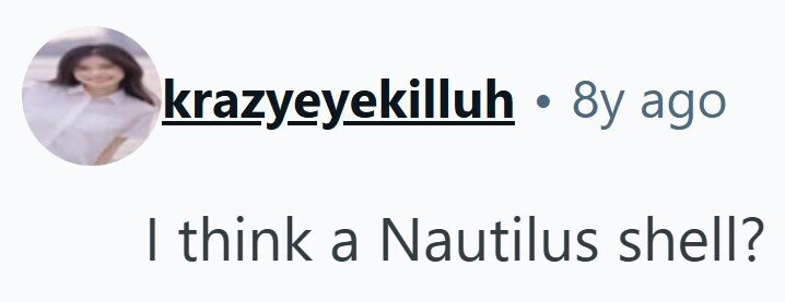 krazyeyekilluh . 8y ago I think a Nautilus shell?