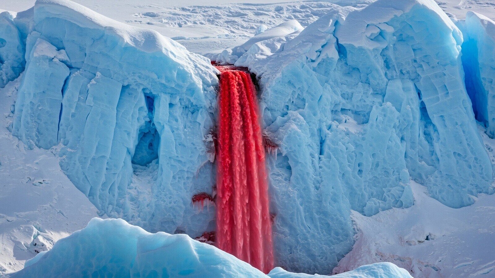 Interesting Facts We Thought You’d Like To Know