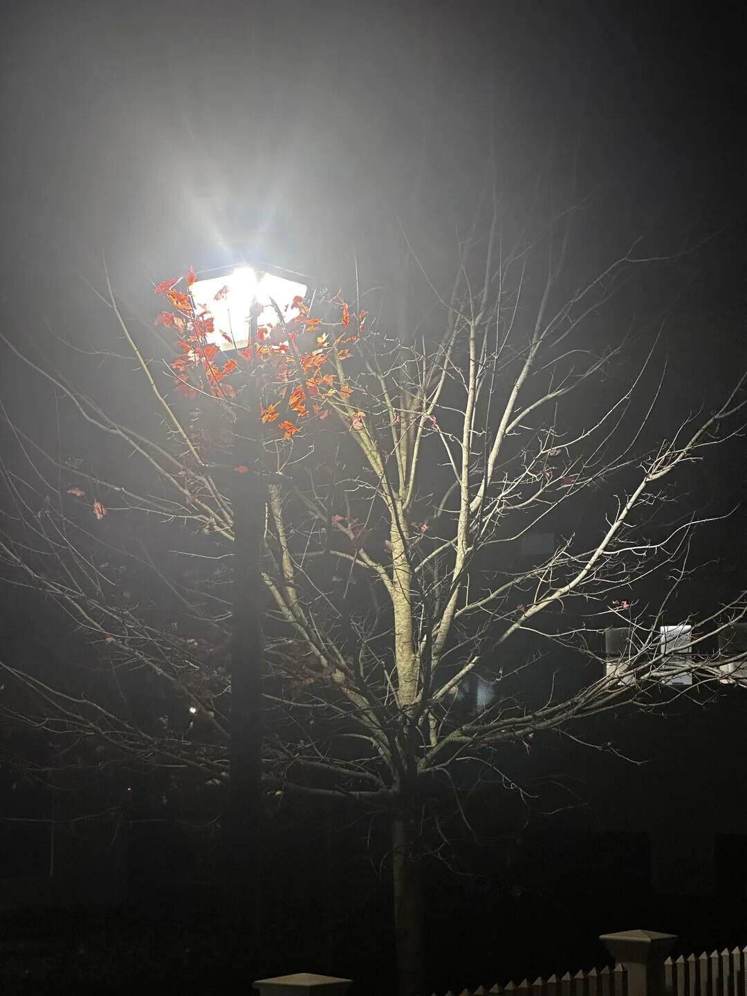 One-in-a-Million Shots That Could Never Happen Again