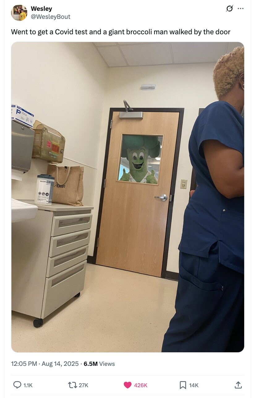 G ... Wesley @WesleyBout Went to get a Covid test and a giant broccoli man walked by the door P I Asian 12:05 PM. Aug 14, 2025 . 6.5M Views 1.1K 27K 426K 14K 