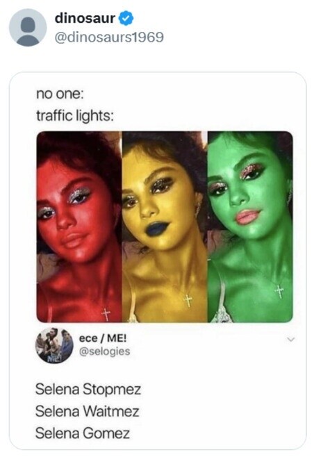 dinosaur @dinosaurs1969 no one: traffic lights: ece/ME! @selogies ME Selena Stopmez Selena Waitmez Selena Gomez 